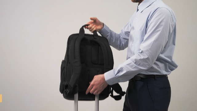Everki Onyx Premium Business Executive 17.3-Inch Laptop Backpack, Ballistic Nylon and Leather, Travel Friendly (EKP132S17), Black