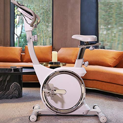 JAHH Silver Spinning Bike Stationary Spin Bike with Resistance Exercise Bikes Indoor Cycling Bike