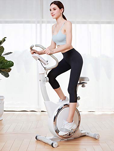 JAHH Silver Spinning Bike Stationary Spin Bike with Resistance Exercise Bikes Indoor Cycling Bike