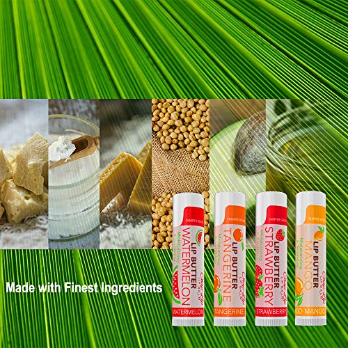 CHAP-LIP Lip Balm 60 Ct. with Fruit Flavors, Cocoa Butter, Coconut Oil | Moisturizing Vitamin E & Total Hydration Treatment & Soothing Lip Therapy (60 Ct Pack of 12)