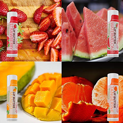 CHAP-LIP Lip Balm 60 Ct. with Fruit Flavors, Cocoa Butter, Coconut Oil | Moisturizing Vitamin E & Total Hydration Treatment & Soothing Lip Therapy (60 Ct Pack of 12)