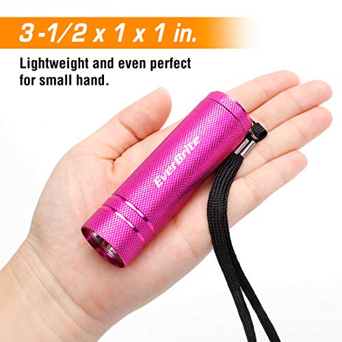 EverBrite 30-Pack Mini Flashlight Set, Aluminum LED Handheld Torches with Lanyard, Assorted Colors, 90 Batteries Included for EDC, Party Favors, Night Reading, Camping, Power Outage, Emergency